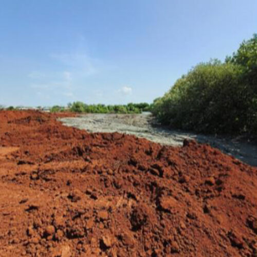 galeri ok (7) galeri ok (7)