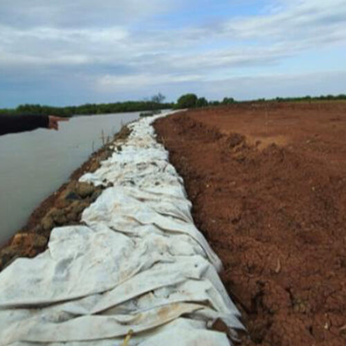 galeri ok (8) galeri ok (8)